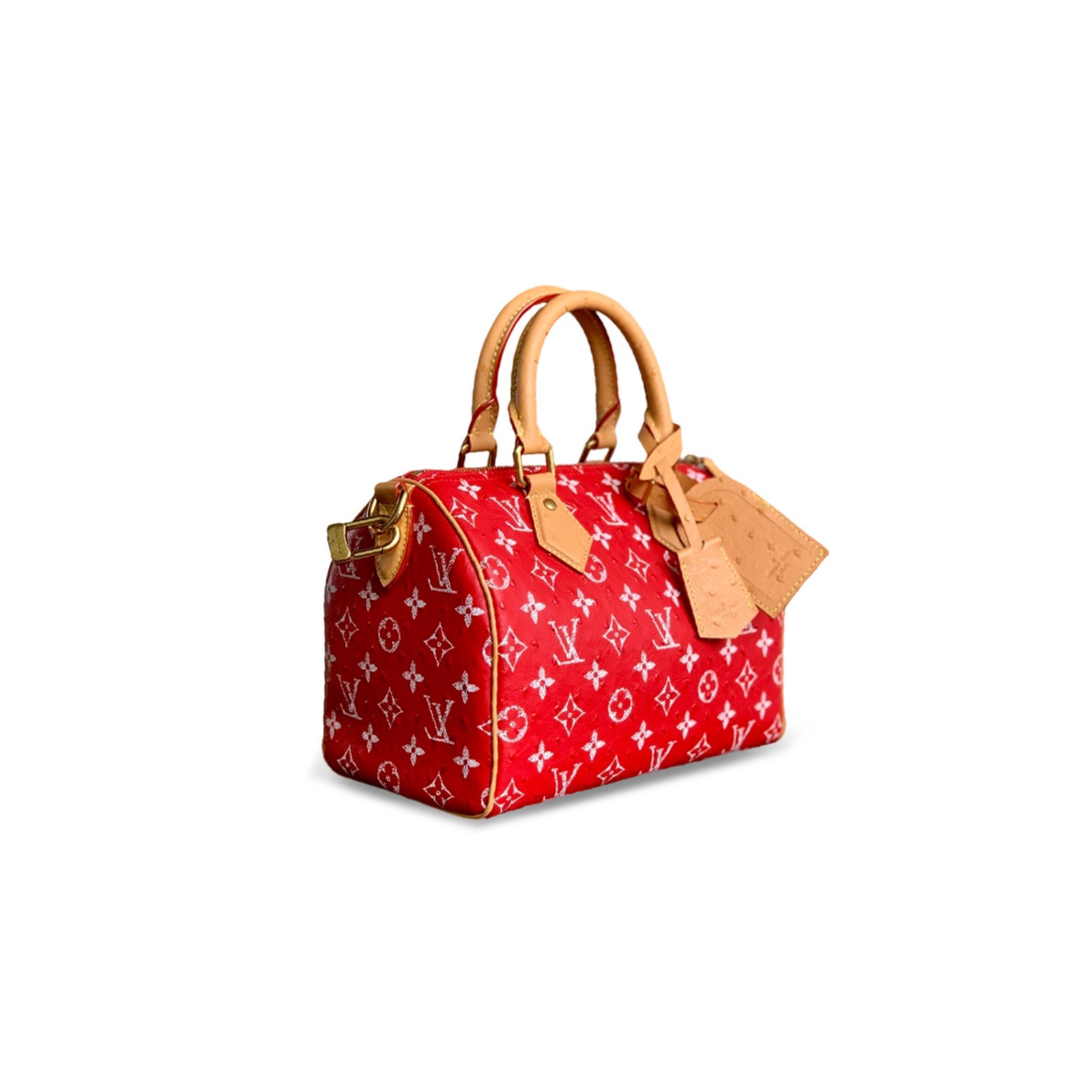 LOUIS VUITTON SPEEDY P9 BANDOULIÈRE 25 M24437 (25*15*15cm)