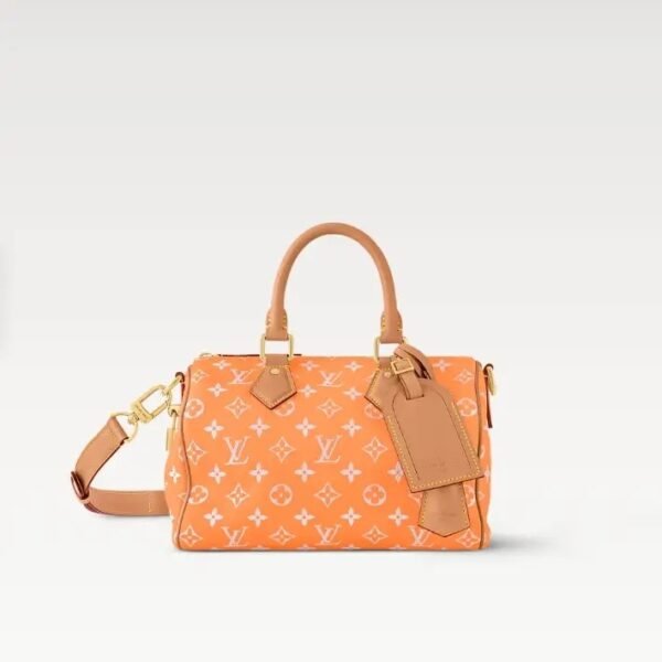 LouisV M13912 Speedy Bandouliere 25 Gradient Cowhide (25x15x15cm)