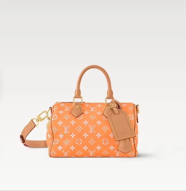 LouisV M13912 Speedy Bandouliere 25 Gradient Cowhide (25x15x15cm)