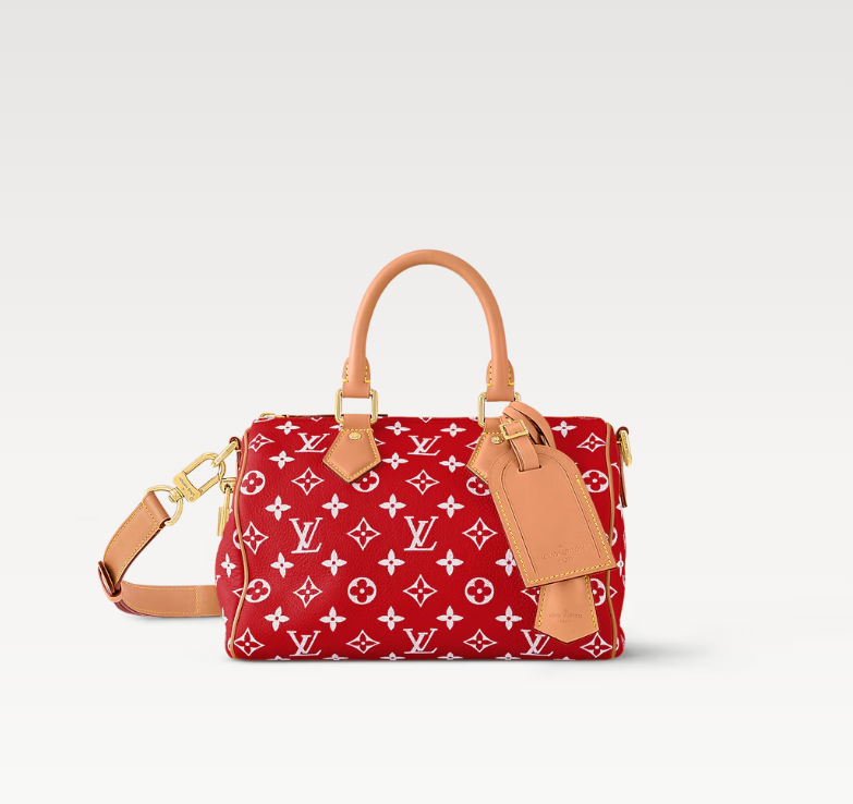 LouisV M24425 Speedy 25 163C Chip Diamond Cowhide (25x15x15cm)