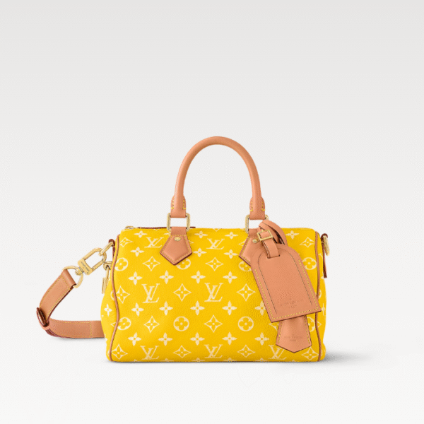 LouisV M24426 Speedy 25 163C Chip Diamond Cowhide (25x15x15cm)