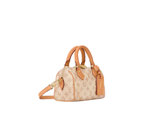 M27951 LouisV Speedy Bandoulière 20  (20.5*13.5*12CM)