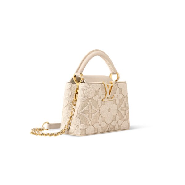 M14389 LOUIS VUITTON MASTER CAPUCINES MINI  (21*14*8cm)