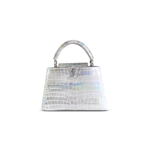 M92173  LOUIS VUITTON MASTER CAPUCINES BB (27*18*9cm)