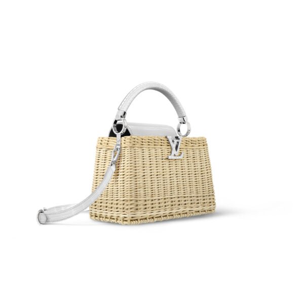 N85520 LOUIS VUITTON MASTER CAPUCINES BB  (27*17*14cm)