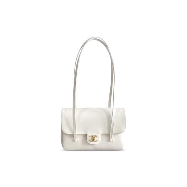 AS6130  CHANEL MASTER SMALL FLAP BAG (22*15*7cm)
