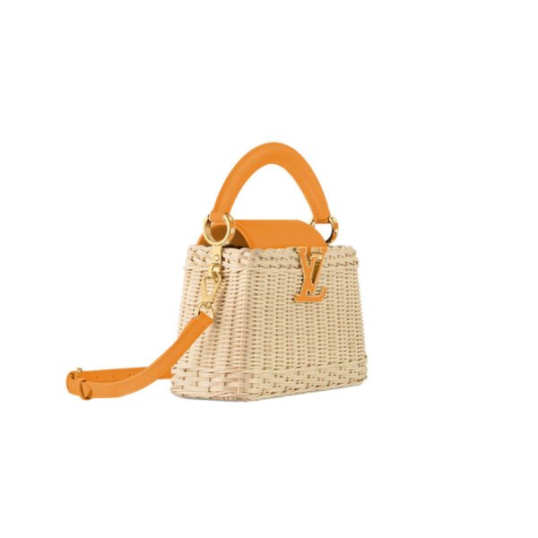 M24976 LOUIS VUITTON MASTER CAPUCINES MINI (21*14*8cm)
