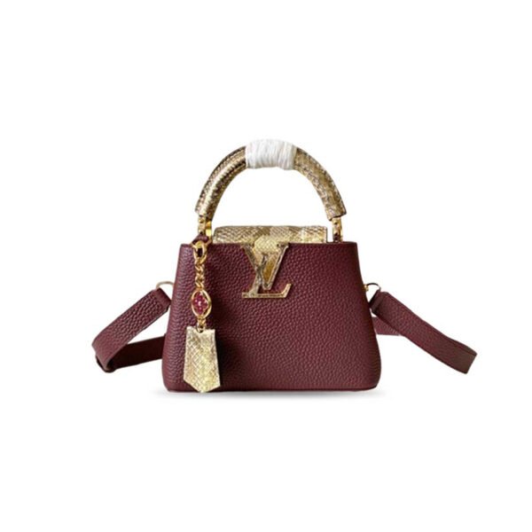 N89369  LOUIS VUITTON MASTER CAPUCINES MINI (21*14*8cm)